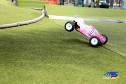 2014 ﻿﻿﻿﻿﻿DM Offroad Monster - Shortcouse